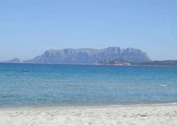 Mansion On The Hill Villa Olbia